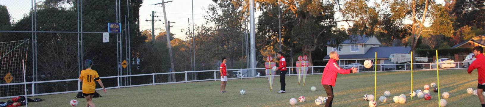 Soccer training session